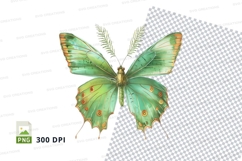 Green butterfly clipart png Product Image 1