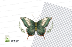 Green butterfly clipart png Product Image 1
