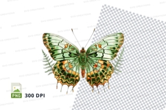 Green butterfly with ferns clipart png Product Image 1