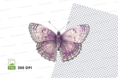 Antique compass with floral background Product Image 1