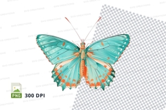 Beautiful turquoise butterfly Product Image 1
