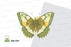 Green and yellow butterfly clipart png Product Image 1