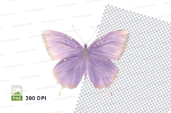Delicate purple butterfly clipart png Product Image 1