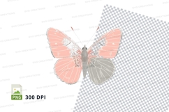 Delicate pink butterfly clipart png Product Image 1