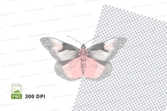 Elegant pink and silver butterfly clipart png Product Image 1