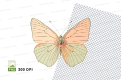 Butterfly clipart png Product Image 1