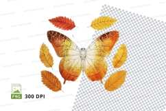 Autumn butterfly with leaves Product Image 1