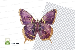 Elegant purple butterfly clipart png Product Image 1
