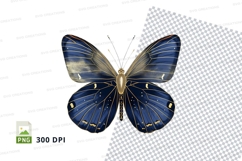 Elegant blue butterfly clipart png Product Image 1