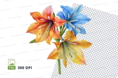 Vibrant amaryllis flowers clipart png Product Image 1