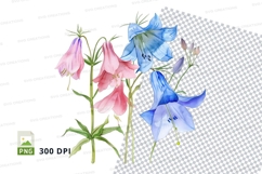 Beautiful bellflowers clipart png Product Image 1