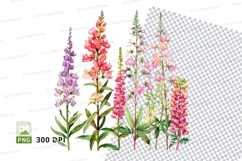 Vibrant wildflowers clipart png Product Image 1
