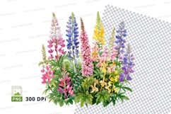 Colorful lupine flowers clipart png Product Image 1