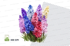 Colorful hyacinth clipart png Product Image 1