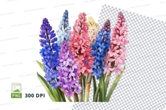 Colorful hyacinth clipart png Product Image 1