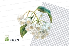 White flowers clipart png Product Image 1