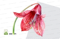 Pink flower clipart png Product Image 1