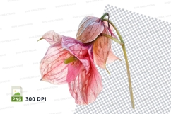 Delicate pink flower clipart png Product Image 1