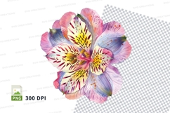Colorful flower clipart png Product Image 1