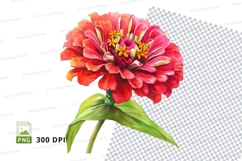 Vibrant zinnia flower clipart png Product Image 1