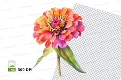 Vibrant zinnia flower clipart png Product Image 1