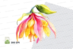 Vibrant watercolor flower clipart png Product Image 1