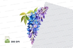 Blue wisteria flowers clipart png Product Image 1