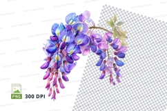 Wisteria flowers clipart png Product Image 1