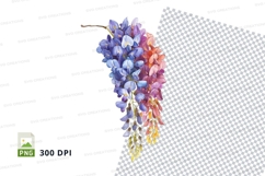 Colorful wisteria flowers clipart png Product Image 1