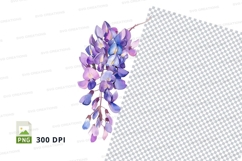 Purple wisteria flowers clipart png Product Image 1