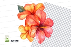 Vibrant tropical hibiscus flowers clipart png Product Image 1