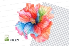 Colorful hibiscus flower clipart png Product Image 1