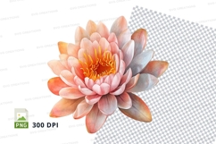 Delicate pink water lily clipart png Product Image 1