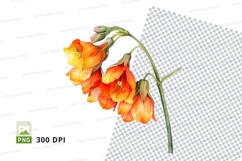 Vibrant orange and yellow flowers Product Image 1