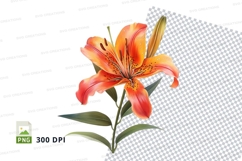 Vibrant orange lily clipart png Product Image 1