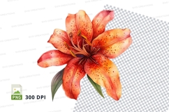 Vibrant orange lily clipart png Product Image 1