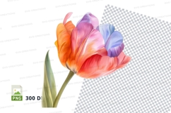 Colorful tulip clipart png Product Image 1