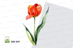 Vibrant red tulip clipart png Product Image 1