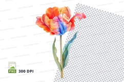 Vibrant tulip clipart png Product Image 1
