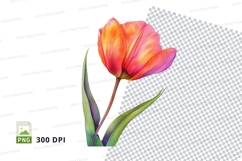 Vibrant tulip clipart png Product Image 1