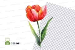 Vibrant tulip clipart png Product Image 1