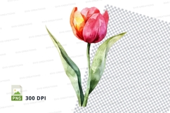 Vibrant tulip clipart png Product Image 1