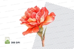 Vibrant red rose clipart png Product Image 1