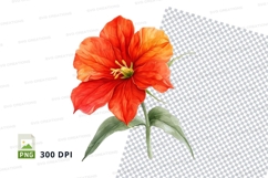 Vibrant orange flower clipart png Product Image 1