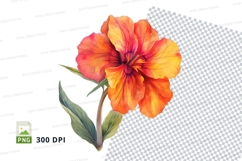 Vibrant flower clipart png Product Image 1