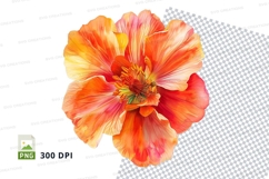 Vibrant orange flower clipart png Product Image 1