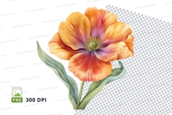 Vibrant orange poppy flower clipart png Product Image 1