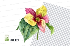 Vibrant flower clipart png Product Image 1