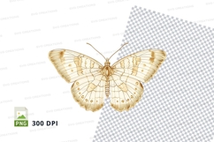 Golden butterfly clipart png Product Image 1