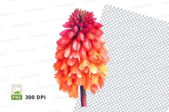 Vibrant dahlia flower clipart png Product Image 1